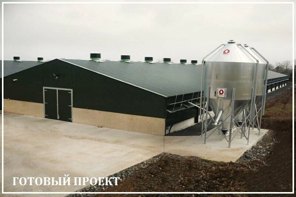Этапы возведения птицефабрики от завода ВелесТент-ксн